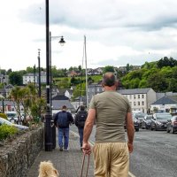 В одной цветовой гамме... :: Elena Ророva