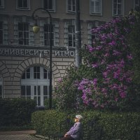 Прелести одиночества :: Татьяна Аникина