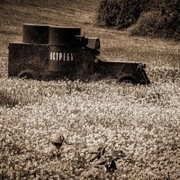 Юринское убоище :: Сергей Старовойт