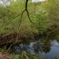 Вниз... :: Николай Гирш Вниз... :: Николай Гирш