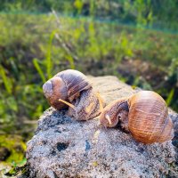 Загараем :: Игорь Чичиль Загараем :: Игорь Чичиль