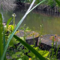 ***** :: юрий поляков ***** :: юрий поляков