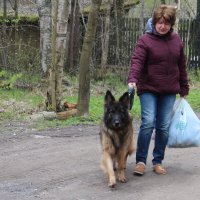 - а тётка с фотиком кусается? :: Елена Минина