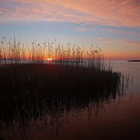 *** :: Сергей Григорьев