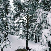 Зимний поход :: Георгиевич Зимний поход :: Георгиевич