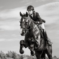 Конкур :: SanSan 