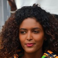 *** :: Dan Berli *** :: Dan Berli