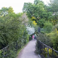 Весна :: Валентин Семчишин