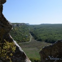 Природа Крыма :: Amazing Cosmea
