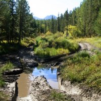 К Мультинским озерам .. :: Vlad Сергиевич