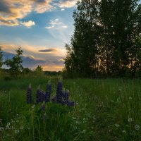 Пейзаж на закате :: Александр Синдерёв