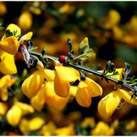 *** :: Aleksandr Gal *** :: Aleksandr Gal