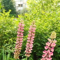 ,,, :: Сергей Тимоновский ,,, :: Сергей Тимоновский