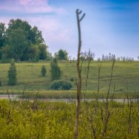 Природа :: Sergei Vikulov