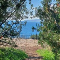 дорожка к морю :: ИРЭН@ . дорожка к морю :: ИРЭН@ .