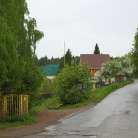 Под дождем :: Галина Кан