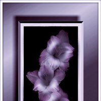 панно Гладиолусы :: Е.М. ***