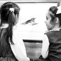 На выставке... :: Влад Никишин