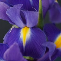 03.06 :: Алёна Савина 03.06 :: Алёна Савина