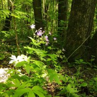 К свету! :: Игорь Ч. К свету! :: Игорь Ч.