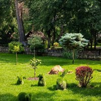 Парк Лога :: Татьяна Пальчикова