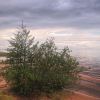 *** :: Сергей Григорьев