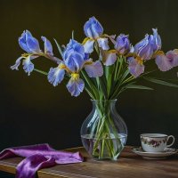 ирисы :: Aleksey Afonin ирисы :: Aleksey Afonin