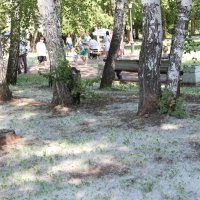 Июнь. :: Венера Чуйкова