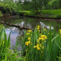 У Тихой Воды :: юрий поляков