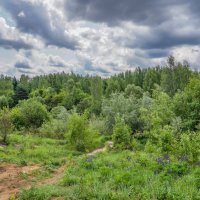 В начале лета... :: Владимир Жданов