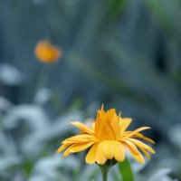 Нежность вечернего тумана :: Валерий Басыров