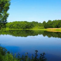 Про озёра Смоленщины (репортаж из поездок по области) :: Милешкин Владимир Алексеевич Про озёра Смоленщины (репортаж из поездок по области) :: Милешкин Владимир Алексеевич