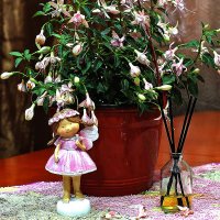 Ароматный снимок :: Юрий Гайворонскiий