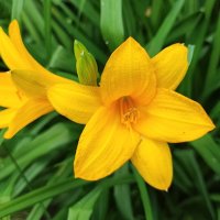 ,,, :: Сергей Тимоновский