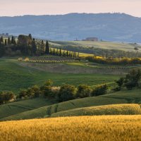 Среди холмов... :: Алекс Римский