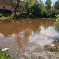 *** :: Геннадий Порохов