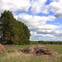 Просторы :: Александр 