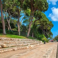 Прогуливаясь по Хайфе... :: Эмиль 