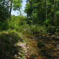 Пейзаж :: Эдуард Куклин Пейзаж :: Эдуард Куклин