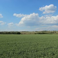 Местные виды. :: Виктор 