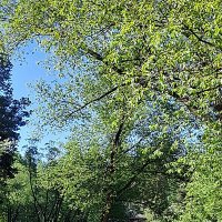 Велосипедисты в парке :: Алевтина Велосипедисты в парке :: Алевтина