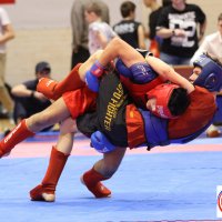 Соревнования по восточным единоборствам. :: Марк Еленцов