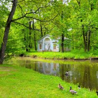 У Детского пруда... :: Sergey Gordoff