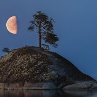 На Ладоге :: Sergey38 