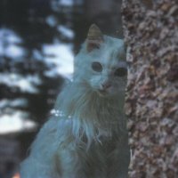 Угол :: Евгения Мокшина