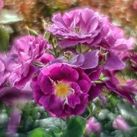 Rhapsody in Blue :: Игорь Сарапулов Rhapsody in Blue :: Игорь Сарапулов