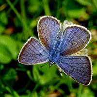 из снятого сегодня  3 :: Александр Прокудин