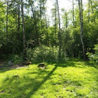 Разъиюнилось :: Андрей Лукьянов Разъиюнилось :: Андрей Лукьянов