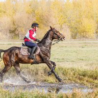 Кросс :: SanSan 