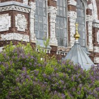 Цветение... :: Галина Ильясова